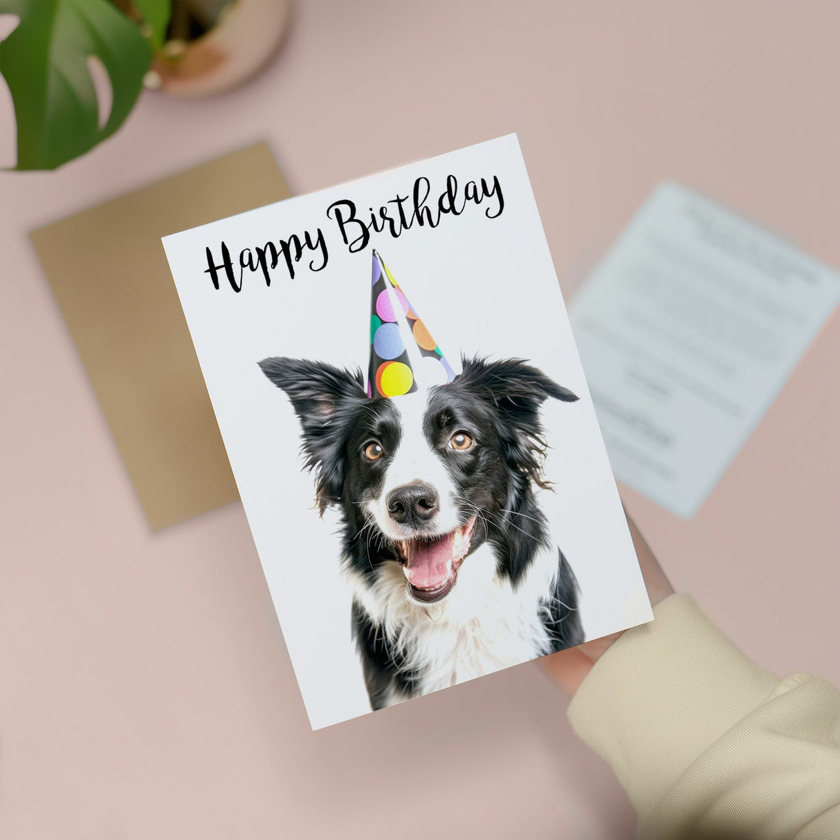 Fun Collie Dog Birthday Card For Him Her Mum Dad Sister Brother
