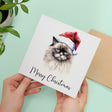 Ragdoll Cat Christmas Card Whimsical Watercolour Card For Animal Lovers