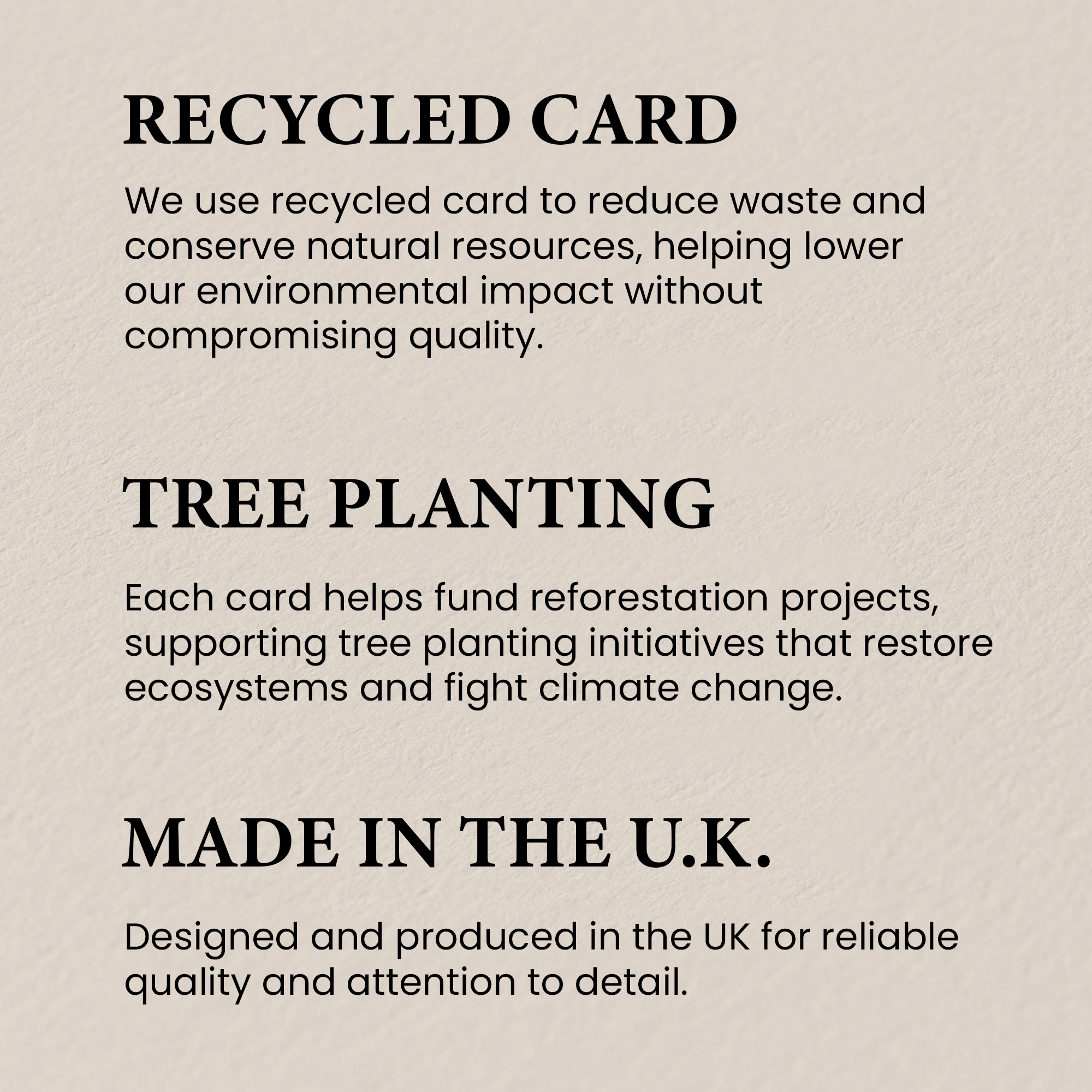 Charming Black Cat Birthday Card, Eco-Friendly Material, For Him or Her