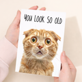 Funny Cat Birthday Card featuring a Ginger Cat, Rude Humor, Eco-Friendly Material, For Him or Her