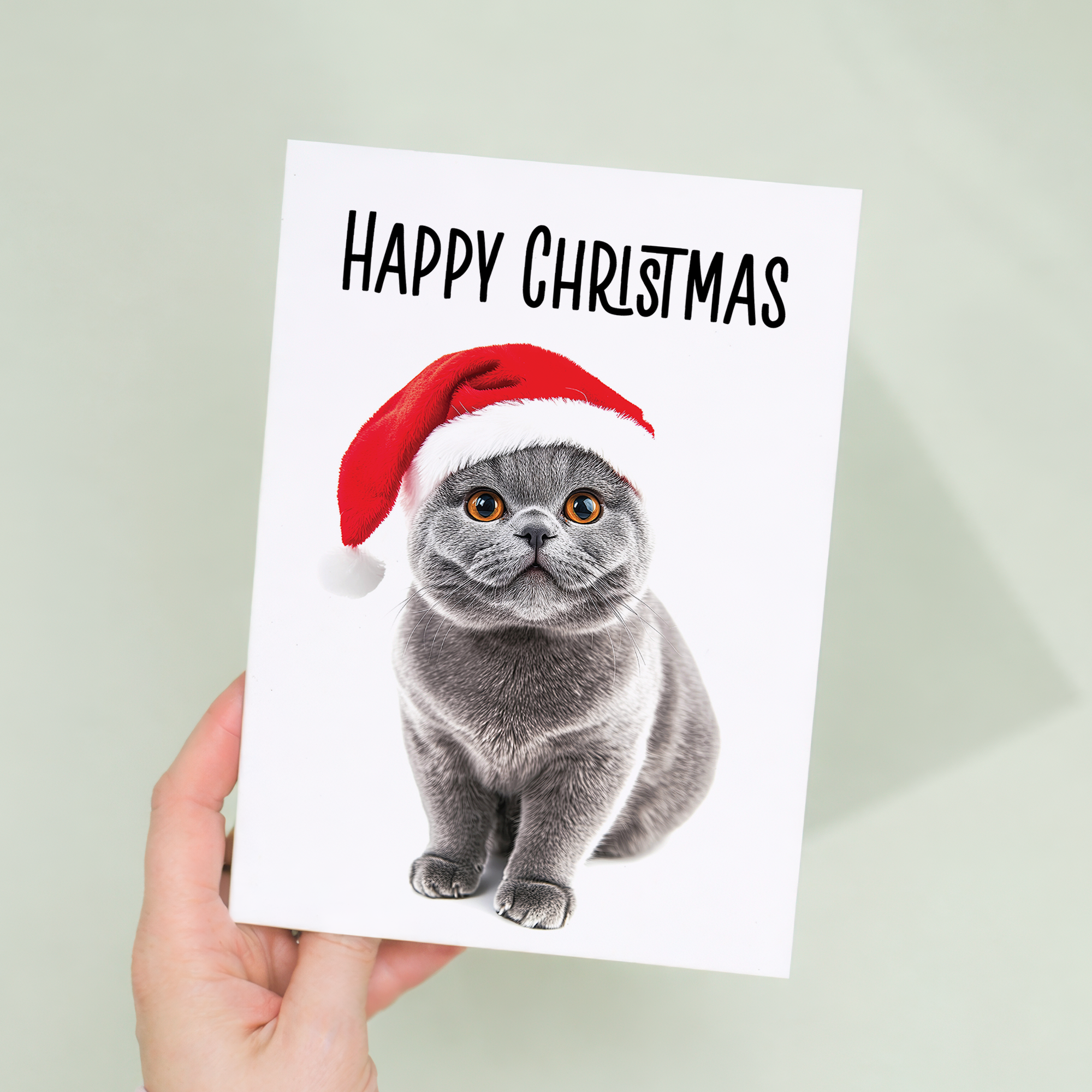 Whimsical British Shorthair Cat Wearing a Santa Hat Christmas Card, Eco-Friendly Material, For Him or Her