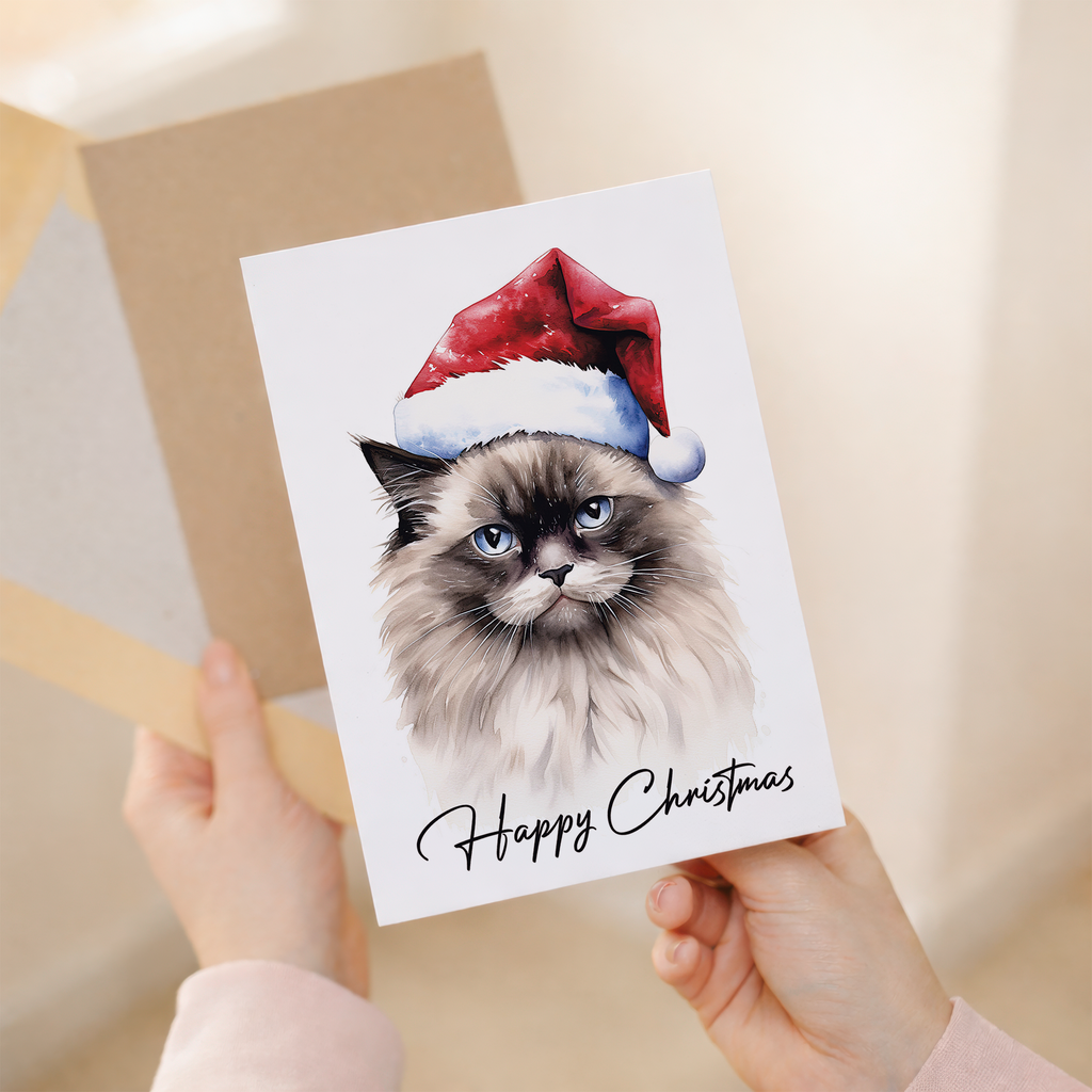 A fluffy Ragdoll cat wearing a red and white Santa hat, sitting against a clean white background.