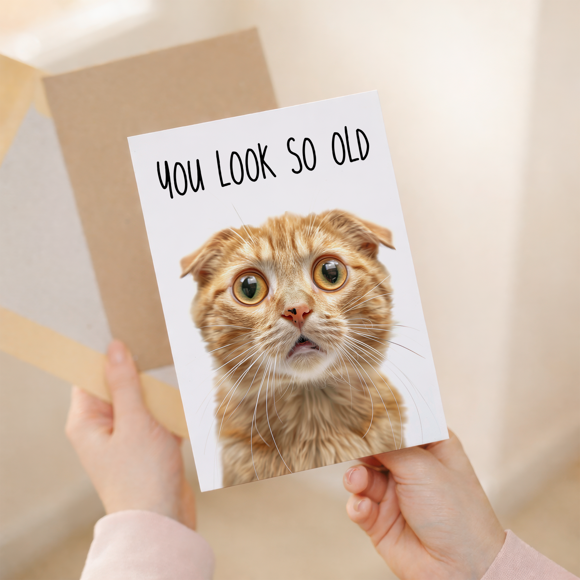 Funny Cat Birthday Card featuring a Ginger Cat, Rude Humor, Eco-Friendly Material, For Him or Her