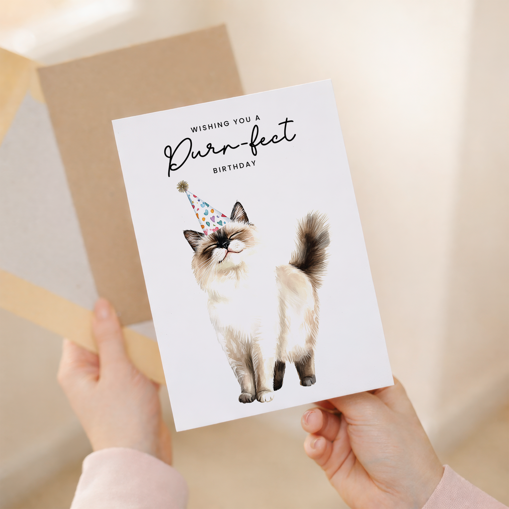 A cute Ragdoll cat with striking blue eyes wearing a colorful party hat, with the text Purr-fect Birthday on a 5x7 portrait greeting card.