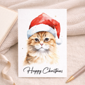 A festive Christmas card featuring an illustration of a cute ginger cat wearing a red and white Santa hat.