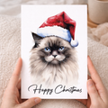 A fluffy Ragdoll cat wearing a red and white Santa hat, sitting against a clean white background.