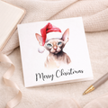 Fun Christmas Card of a Sphynx Cat Wearing A Santa Hat Whimsical Watercolour Christmas Card For Animal Lover For Him or Her
