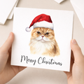 Fun Christmas Card of a Scotish Fold Wearing A Santa Hat Whimsical Watercolour Christmas Card For Animal Lover For Him or Her