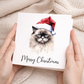 Fun Christmas Card of a Ragdoll Cat Wearing A Santa Hat Whimsical Watercolour Christmas Card For Animal Lover For Him or Her