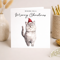 British Shorthair Cat Christmas Card – Cute Cat Lover Card – Eco Friendly “Merry Christmas” Card – Funny Pet Holiday Card