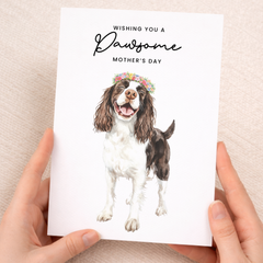 Mother's Day Card From The Dog Springer Spaniel Pawsome Card For Dog Mum