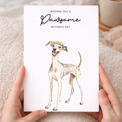Mother's Day Card From The Dog Whippet Pawsome Card For Dog Mum