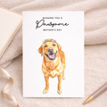 Mother's Day Card From The Dog Golden Labrador Pawsome Card For Dog Mum