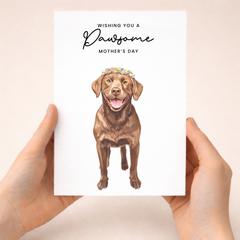 Mother's Day Card From The Dog Chocolate Labrador Pawsome Card For Dog Mum