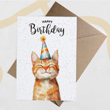 Birthday Card For Him or Her Of A Ginger Cat Illustration For Him or Her Birthday Gift