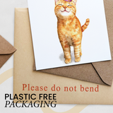 Orange Tabby Cat Birthday Card – Cute Cat Lover Card with Party Hat – Purr-fect Birthday Greeting Card for Cat Owners
