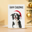 Collie Dog Santa Hat Christmas Card for Animal Lover Card for Him or Her